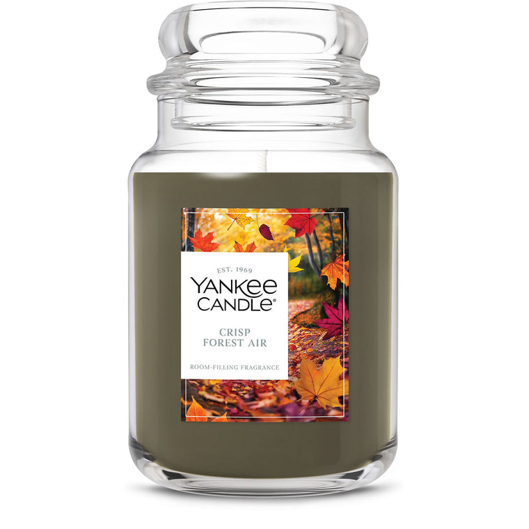 Crisp Forest Air Original Large Jar Candle H3